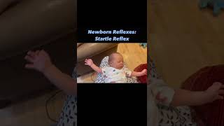 Newborn Reflexes Startle Reflex Maria Teresa Ferrer Dr in Physical Therapy [upl. by Sirromal996]