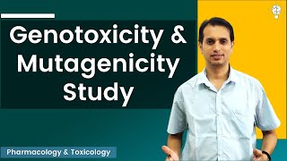 Toxicology Genotoxicity and Mutagenicity [upl. by Nirej]