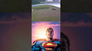 Dog saves a kid starmanmeme starman superman [upl. by Huberto708]