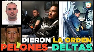 quotLos PelonesDeltasquot dieron la orden Sonora [upl. by Sanoy766]