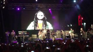 Alborosie  The Prophecy  Herbalist Live [upl. by Salohcin174]