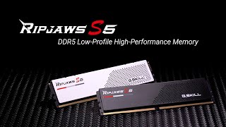 GSKILL Ripjaws S5 High Performance Low Profile DDR5 Memory [upl. by Emiolhs]