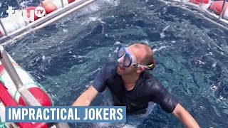 Impractical Jokers  Swimming with the Sharks Punishment  truTV [upl. by Giule912]