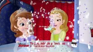 Ta journée de Princesse  Mercredi 18 décembre dès 8h30 sur Disney Junior [upl. by Nyrhtak]