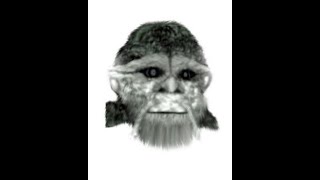 Sasquatch Awareness Project  What Does The Sasquatch Look Like Part 2  HUMAN [upl. by Aciraj]