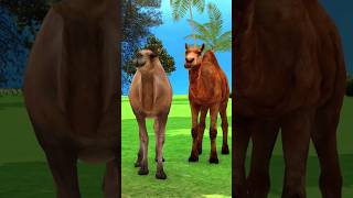 निर्दई इंसान और मासूम ऊंट की कहानी  Animals Stories  Hindi Stories  Hindi Kahani  shorts [upl. by Pru]