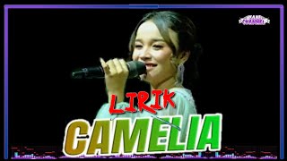 LIRIK  CAMELIA  TASYA ROSMALA  YaniChannel [upl. by Drareg]