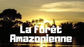 Le rôle de la forêt Amazonienne [upl. by Dreeda]