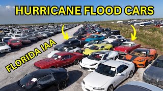 Tons of Hurricane Flooded Super Cars Florida IAA Worth Bidding on [upl. by Ynatil]