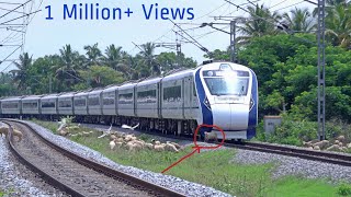 Live Train accident  VANDE BHARAT EXPRESS Run Over Poor Sheep Crossing a Railway Line at Hispeed 🚄 [upl. by Esertak]