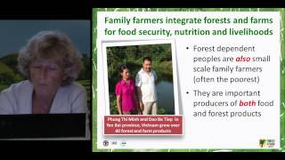 Eva Müller Director Forest Economics Policy and Products Division FAO Forestry Department [upl. by Odareg99]