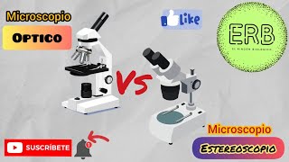 🔬MICROSCOPIO ÓPTICO VS MICROSCOPIO ESTEREOSCOPICO  El rincón biológico💚 [upl. by Steady867]