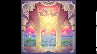 Technicians of the Sacred An In Depth Interview With Ozric Tentacles [upl. by Zebapda]