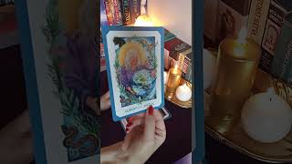 tarot 💥💯Kaip Jus mato VISATA dabar💥💯🌈🎉💫💜💫🦋🎉🌈 [upl. by Ahdar]