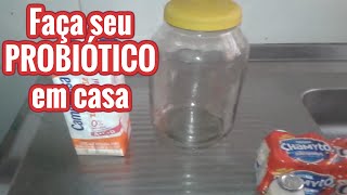 REPARE SUA FLORA INTESTINAL COM PROBIÓTICO CASEIRO  SAÚDE INTESTINAL  Lactobacilos VIVOS [upl. by Yseulte17]