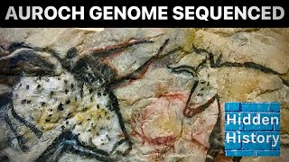 Ancient Mesolithic auroch DNA sequenced [upl. by Navak]