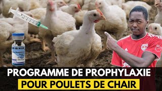 VOICI LE NOUVEAU PROGRAMME DE PROPHYLAXIE POUR POULETS DE CHAIR DU 1er AU 42ème JOUR [upl. by Luht]