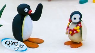 Pingu on Holiday 🐧  Pingu  Official Channel  Cartoons For Kids [upl. by Nwahsak699]