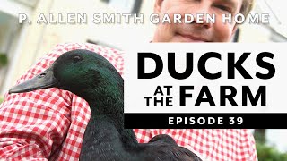 Ducks Breeds at Moss Mountain Farm  P Allen Smith 2020 [upl. by Audly]