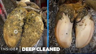 How Cow Hooves Are Deep Cleaned  Deep Cleaned  Insider [upl. by Rriocard951]