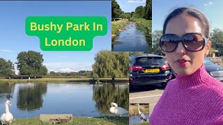 Amazing Bushy Park In London Beautiful Heaven❤️ bushypark diana henrycavill  The Mahalaxmi Show [upl. by Yesdnik]