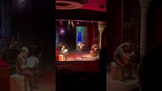 Irish Band on the Volendam Holland America Summer 2024 [upl. by Iilek]