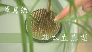 【生け花】草月流基本立真型【三大流派生けてみた】 [upl. by Harvard]