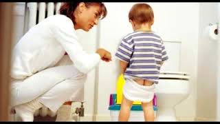 Aprende Como Entrenar A Tú Hijo A Ir Al Baño En Sólo 3 Días Fellom [upl. by Byrne176]