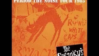 the swankys  period the noise tour 1985 [upl. by Sale]