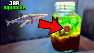 I turned a jar into an aquarium THIS Happened [upl. by Harsho264]