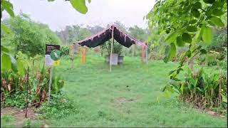 Virtual Tour  Gazipur Urban Forest Zirakpur Punjab [upl. by Emeric]