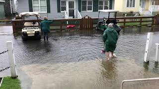 Tangier Island residents wading through water after church [upl. by Reteip]