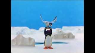 Pingu And The Seagul  Pingu Official Channel [upl. by Sykleb]