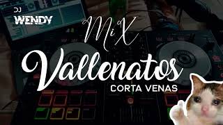 Vallenatos Mix DJ WENDY [upl. by Thisbee]