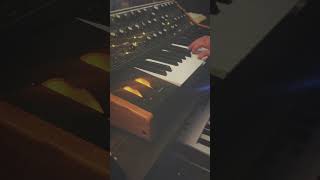 Muse  Bliss arpeggios muse moog arturia keylab chords subsequent37 synth synthesizer [upl. by Ayom]