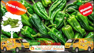 padron pepper free delivery fruits vegetables grocery wholesale price whatsapp for order [upl. by Ahsienet]