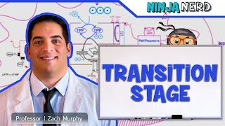 Metabolism  Transition Stage Preparatory Phase [upl. by Solana]