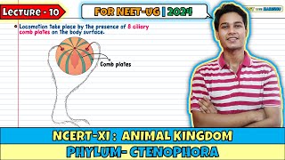 Lec 10 Phylum Ctenophora Animal Kingdom Class 11 NEET 2024 [upl. by Yduj95]