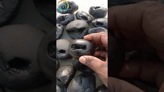 Shaligram  sri damodar krishna shaligram shila  gandaki rivar shaligram shorts short shortsfeed [upl. by Htebsil262]