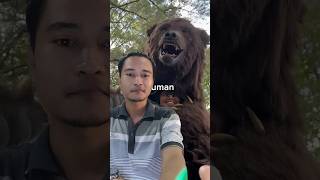 100000000 PRIZE IF YOU CAN DEFEAT THE GORILLA REACTION animals funny challenge zoo [upl. by Herates765]