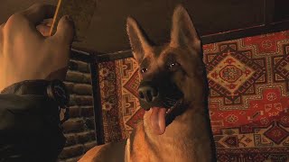 CONVRGENCE  Dog Eats Crackers For One Hour Straight ASMR [upl. by Madi]