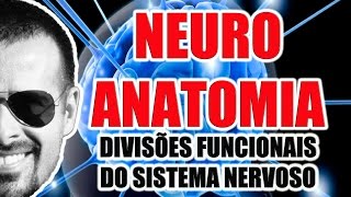 Divisões funcionais do Sistema Nervoso Somático Visceral Aferente e Eferente  VideoAula 071 [upl. by Anat]