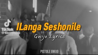 Langa Selshonile GWIJO  Lyrics [upl. by Aivatnwahs]