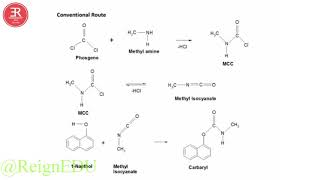 Synthesis of Carbaryl   2018  August   ReignEdu NCERTSeries 10Class 19 [upl. by Leamiba]