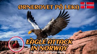 ØRNEROVET PÅ LEKA  En sann historie om en unge som ble tatt av en Havørn eagleattacks eagles [upl. by Yedsnil]