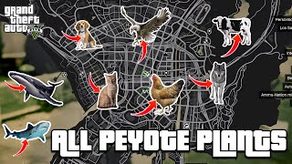 GTA 5  All 27 Peyote Plants Location Guide  Play as an animal [upl. by Almena7]