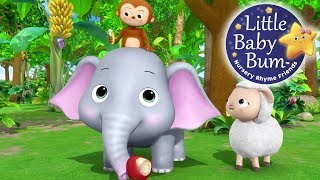 Animals Feeding Song  Nursery Rhymes for Babies by LittleBabyBum  ABCs and 123s [upl. by Nedak]