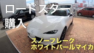 【NDロードスター納車】スノーフレーク ホワイトパールマイカ 6MT 購入しました [upl. by Seedman]