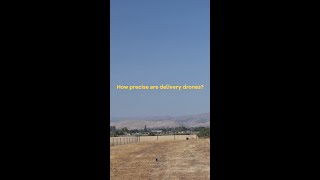 How Precise Are Wings Delivery Drones [upl. by Kcire867]