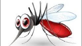 കൊതുകിനെ കൊല്ലണ്ട രീതി mosquito how to kill mosquito [upl. by Elac989]